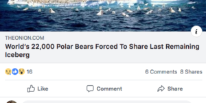 Good thing polar bears eat onions.