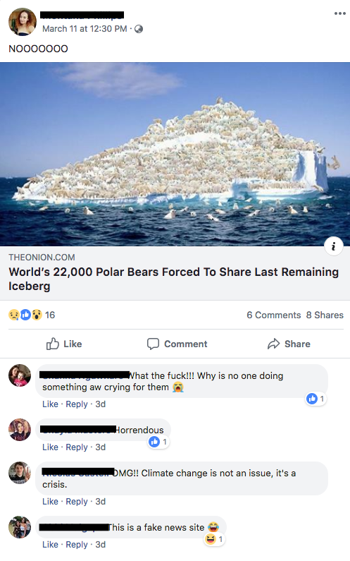 Good thing polar bears eat onions.