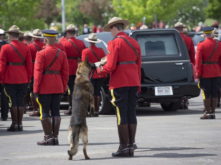 K9 dog Danny, sniffs the stetson of his partner, slain Const. David Ross, during the funeral procession for three RCMP officers who were killed on duty.