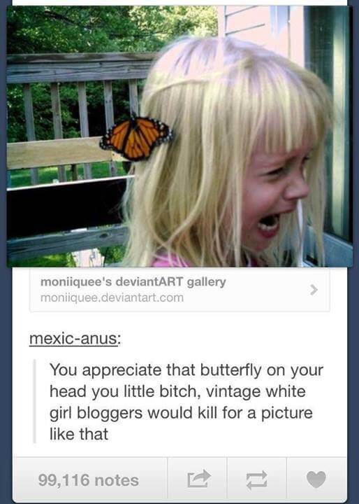You must learn to appreciate the butterfly...