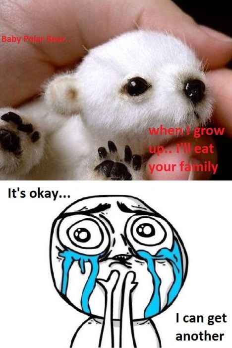 Baby polar bear will eat your family.
