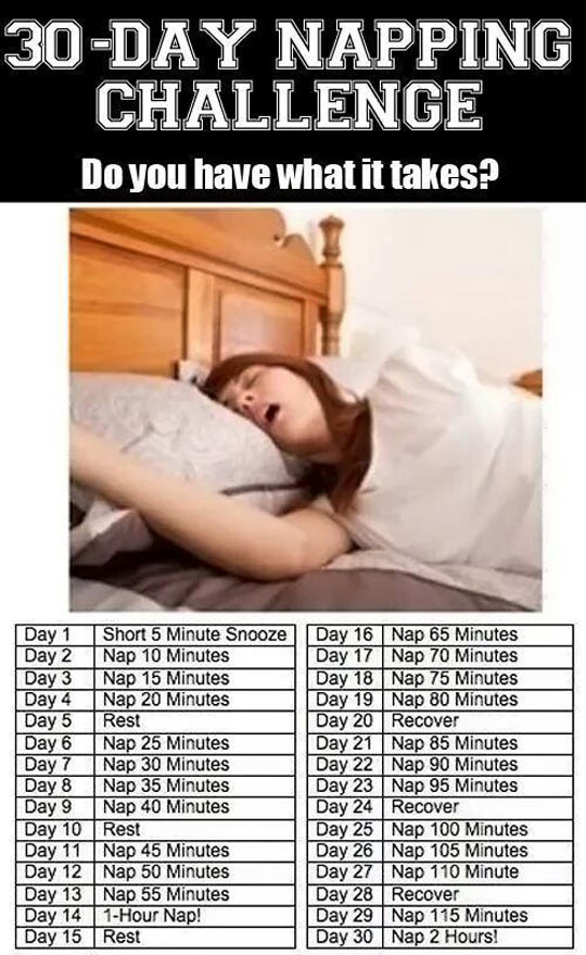 30 day napping challenge.