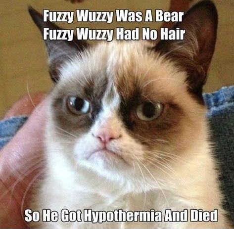 Fuzzy Wuzzy Was A Bear.