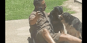 UPS driver takes selfies with neighborhood dogs.
