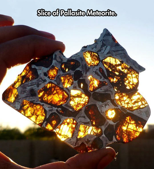 Slice of Pallasite Meteorite. 