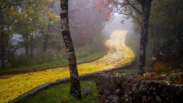 The Yellow Brick Road in North Carolina's abandoned Wizard of Oz theme park