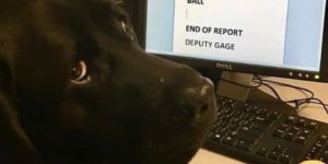 Deputy Gage is about finished with his report…