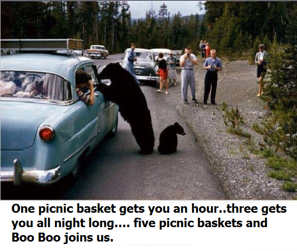 The dark days of Yogi Bear..