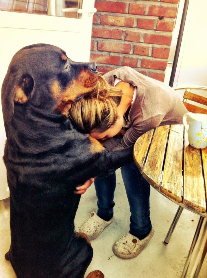 There, there human.
