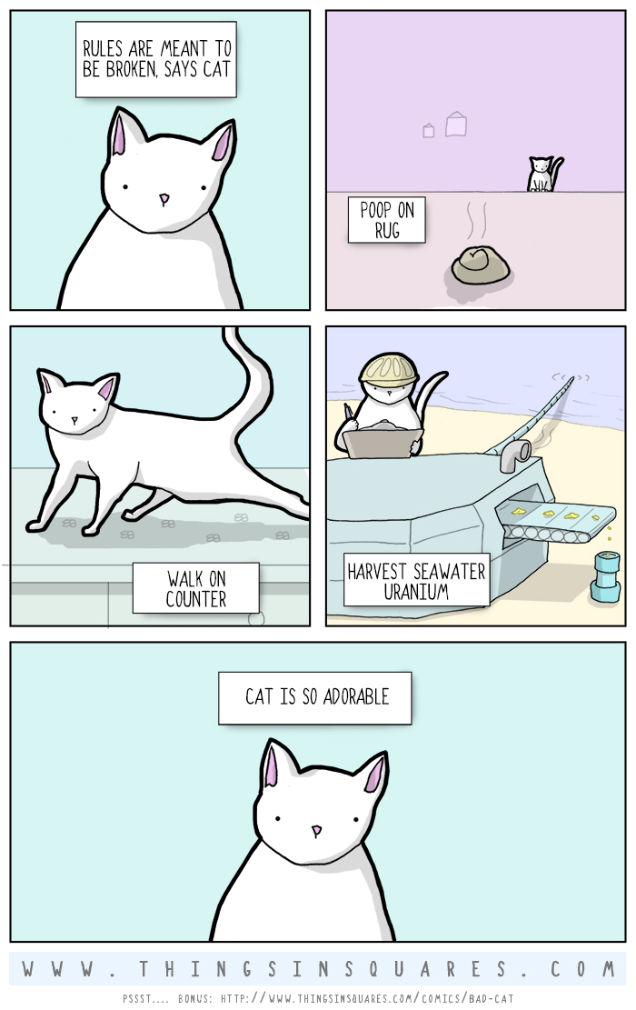 don't do that, cat