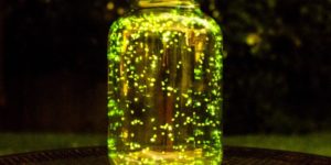 I put some fireflies in a jar and did a long exposure for 3 minutes.