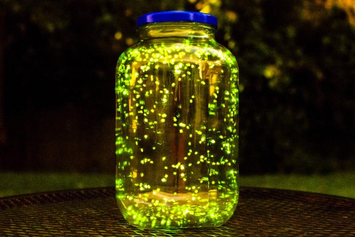 I put some fireflies in a jar and did a long exposure for 3 minutes.