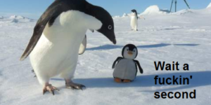 How to confuse a penguin.