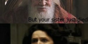Dumbledore just met you…