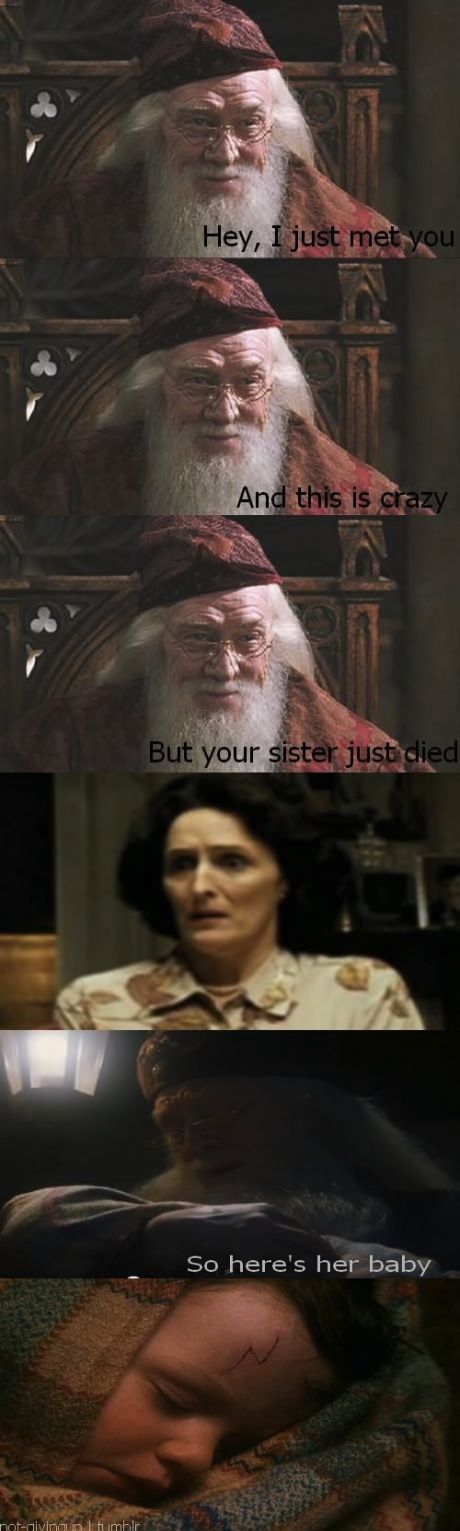 Dumbledore just met you...