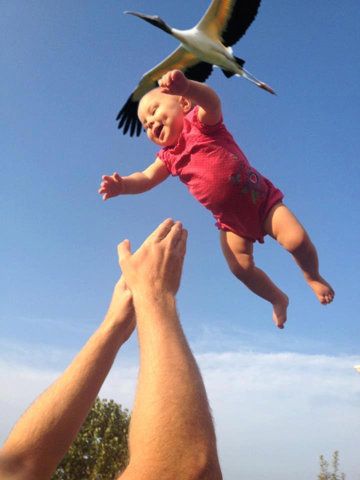 Nothing to see here. Just a stork making a delivery.