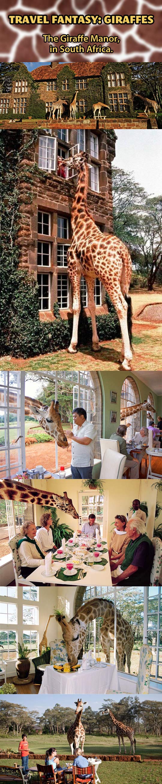 Giraffe Manor, South Africa.