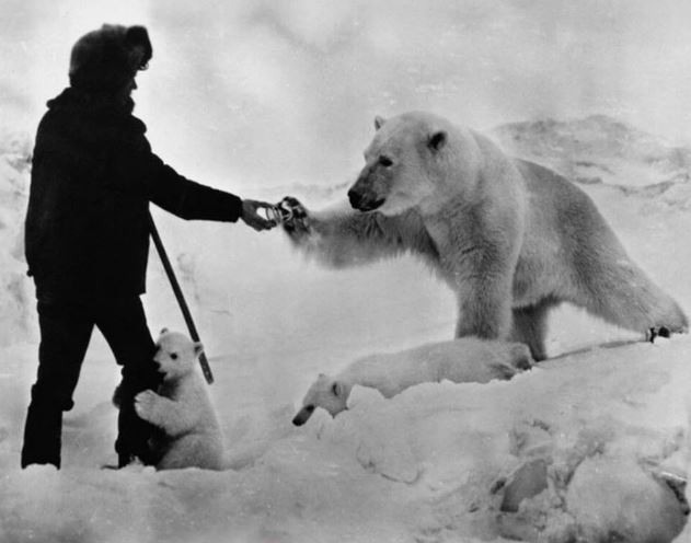 Shooting a bear doesn't make you a badass. Feeding one while her cub humps your leg definitely does.