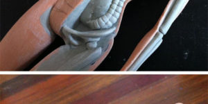 Disecting Barbie.