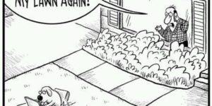 Hate when dogs do this