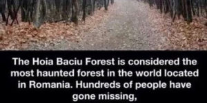 The Hoia Baciu Forest