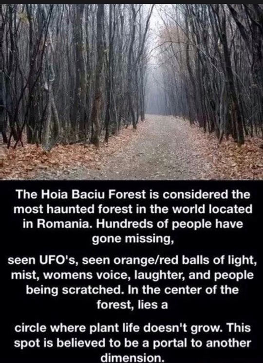 The Hoia Baciu Forest