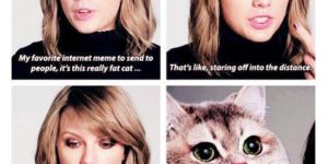 Taylor Swift's favorite meme is the heavy breathing cat