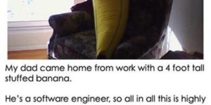 Software engineers are weird