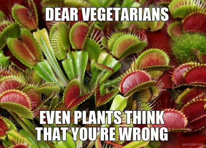 Dear Vegetarians...