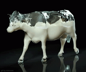 If cows were transparent.