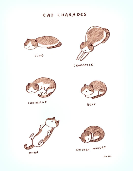 Cat Charades.