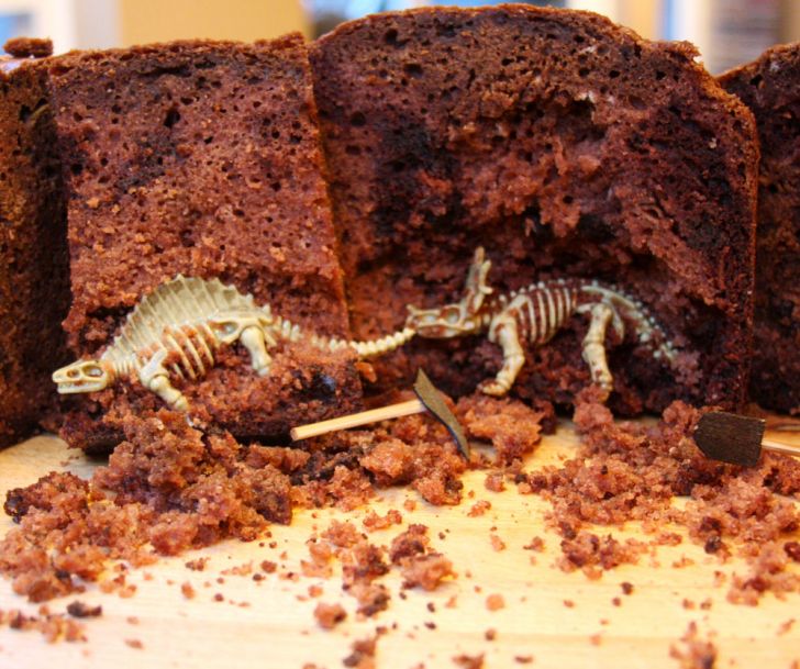 Paleontology Cake