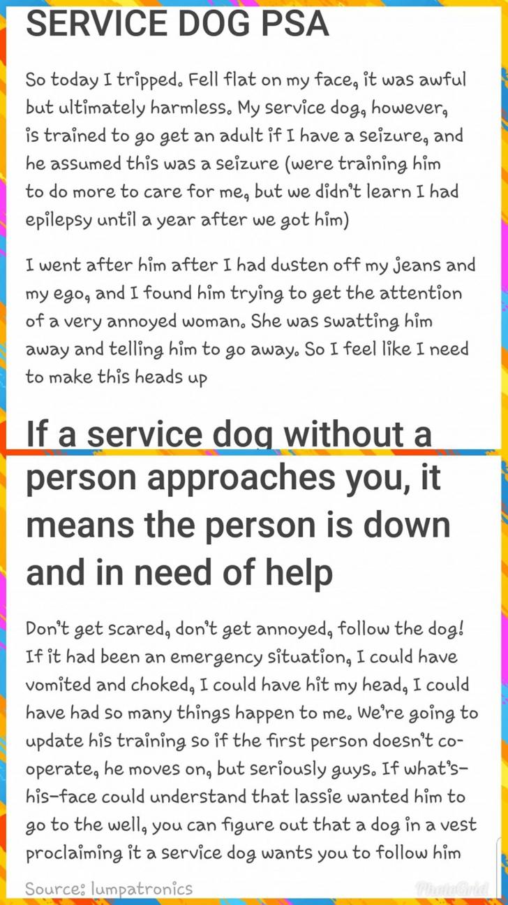 PSA: How to deal with a service dog.
