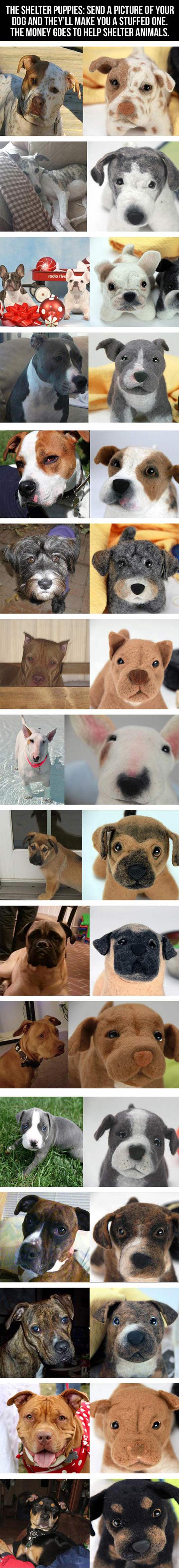 Dogs And Their Stuffed Animal Form