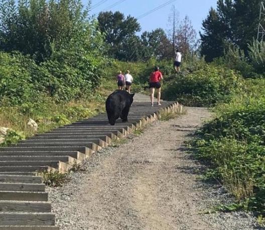 Stairs are for every body.