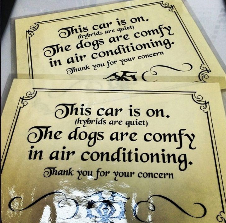 Had these made after someone broke into my Prius to 
