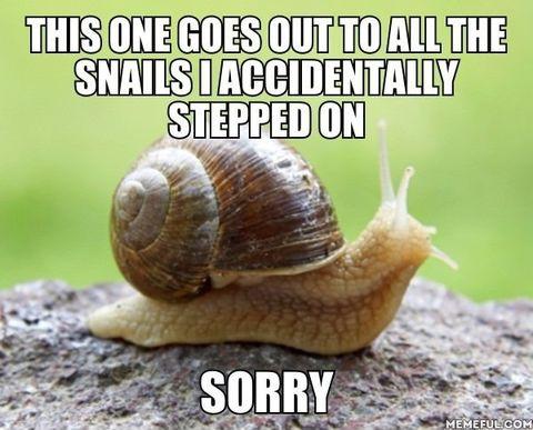 I'm sorry, snails