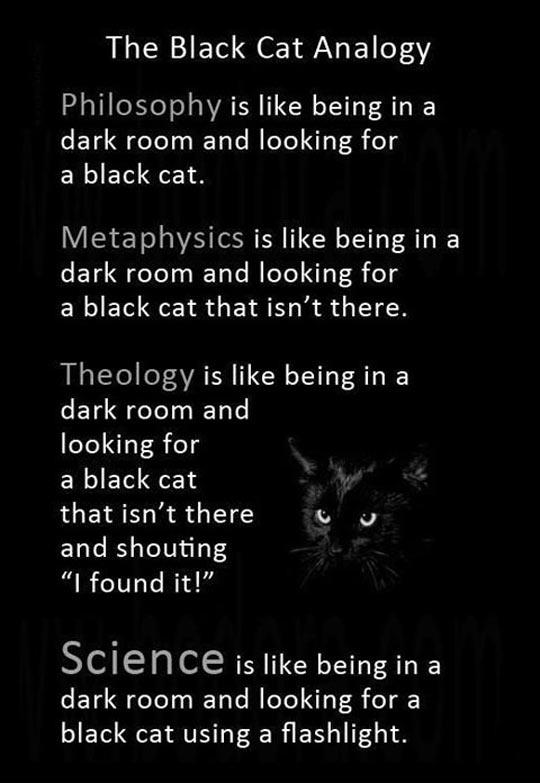 Black Cat Analogy