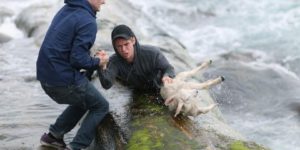 Just a couple guys rescuing a lamb.