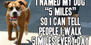 I named my dog “5 miles”