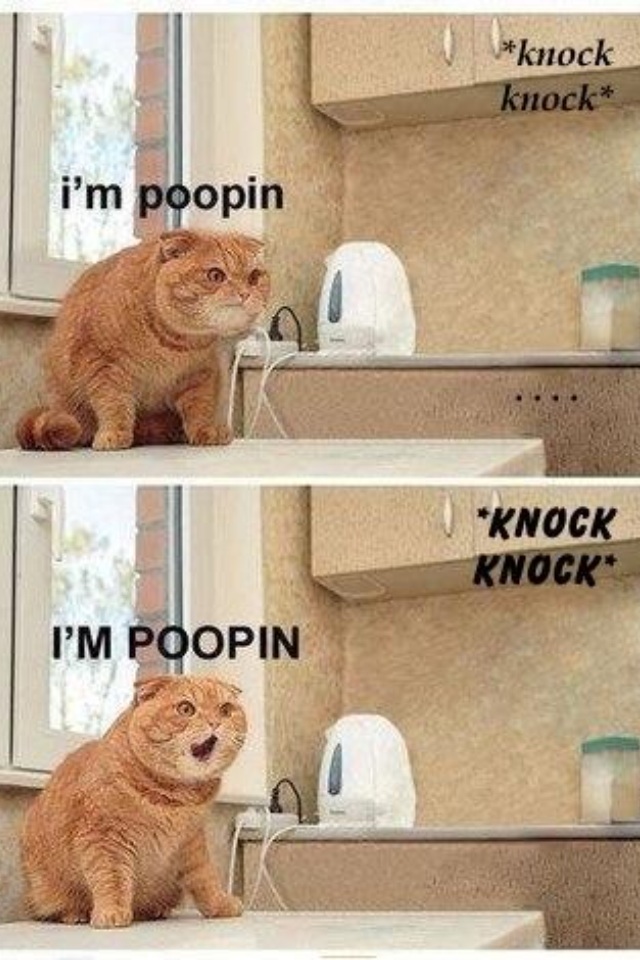 Knock knock...