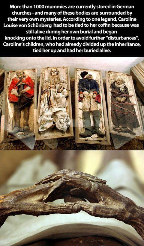 Caroline Louise von Schonberg - the mummy that was buried alive