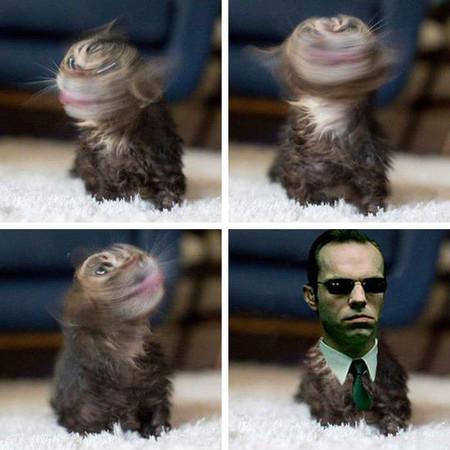 Agent Smith Has Gone Too Far