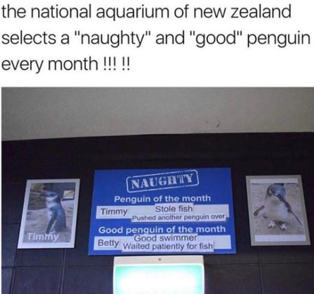 The National Aquarium Of New Zealand