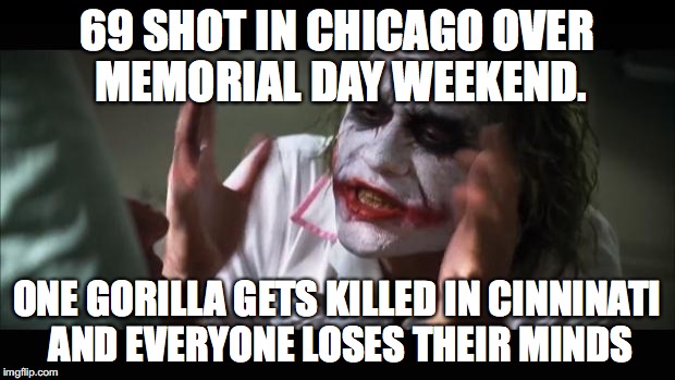 69 people shot in Chicago over Memorial Day Weekend...