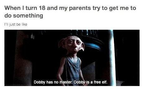 Dobby has no master!