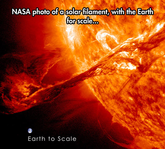 NASA photo of a solar filament. Earth for scale.