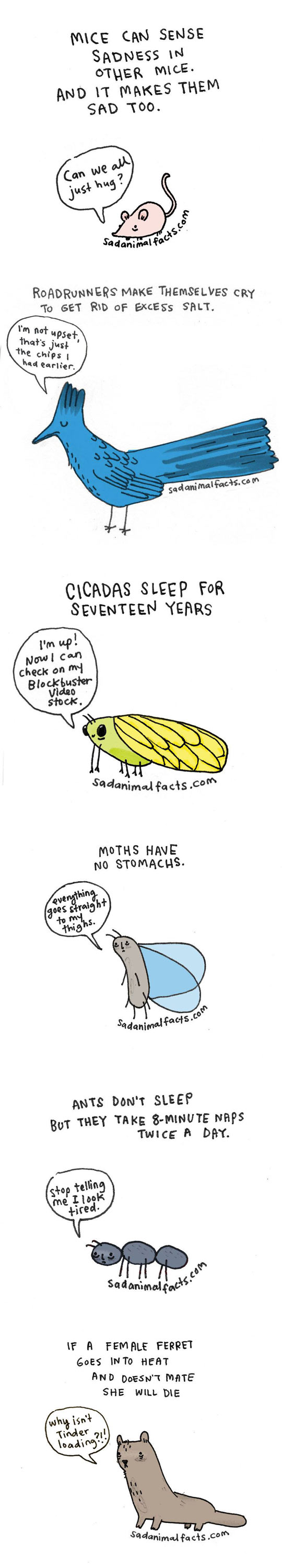 Moths Are Weird