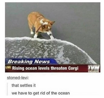 Think of the Corgi!