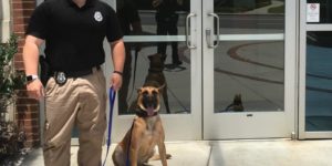 When it’s bring your dog to work day, but you’re a K-9 unit.